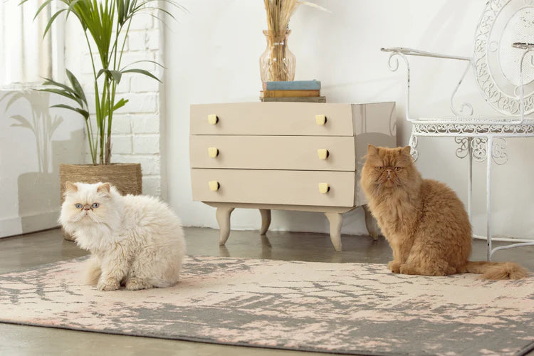2025 Spring Home Decor Trends: It’s Time for a Refresh