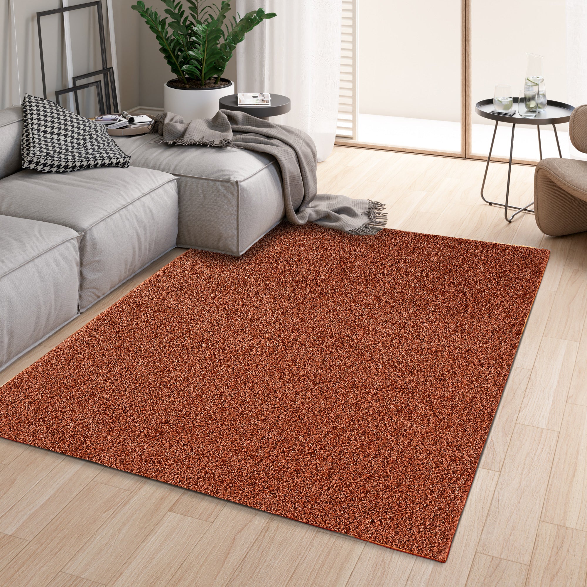 homeart Area Rug - Super Soft Shaggy Rugs For The Living Rooms, Bedrooms And Kitchen - Modern, Easy To Clean Carpet  - Terra