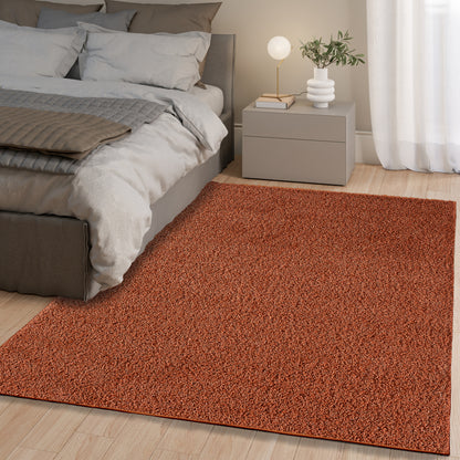 Shaggy Rug Plain Terra