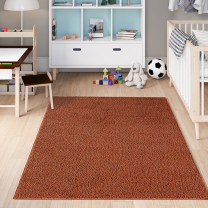 Shaggy Rug Plain Terra